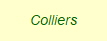 Colliers
