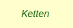 Ketten 