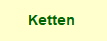 Ketten 